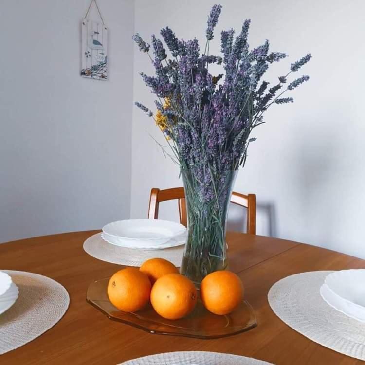コペル Istrian House Mojcaヴィラ エクステリア 写真