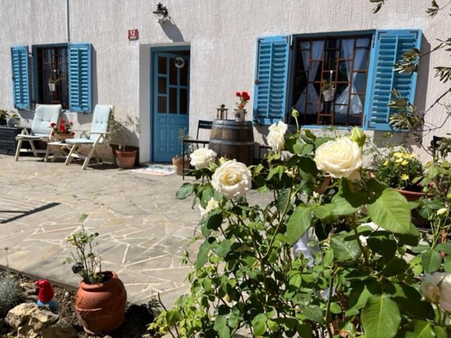 コペル Istrian House Mojcaヴィラ エクステリア 写真